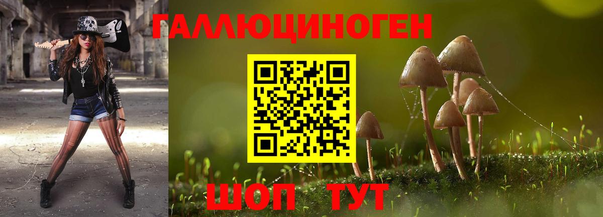 Галлюциногенные грибы Psilocybe Петропавловск-Камчатский