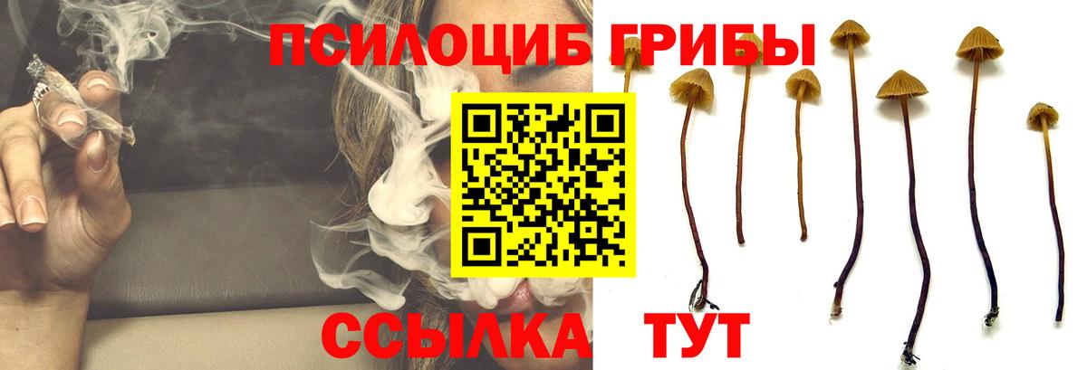 Галлюциногенные грибы прущие грибы  Галлюциногенные грибы прущие грибы  Петропавловск-Камчатский  Вход с VPN 